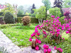 Ma-Cabane - Vente Maison L'ETANG-LA-VILLE, 175 m²