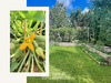 Ma-Cabane - Vente Maison L'HAY-LES-ROSES, 160 m²