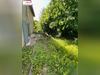 Ma-Cabane - Vente Maison L'ISLE-D'ABEAU, 86 m²