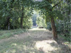 Ma-Cabane - Vente Maison L'Isle-sur-Serein, 2000 m²