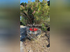 Ma-Cabane - Vente Maison L ILE D YEU, 103 m²