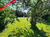 Ma-Cabane - Vente Maison L ILE D YEU, 65 m²