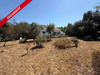 Ma-Cabane - Vente Maison L ILE D YEU, 93 m²