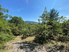 Ma-Cabane - Vente Maison LA BEGUDE-DE-MAZENC, 250 m²