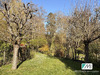 Ma-Cabane - Vente Maison La Celle-les-Bordes, 217 m²