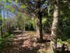 Ma-Cabane - Vente Maison LA CHAPELLE-D'ANGILLON, 183 m²