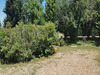 Ma-Cabane - Vente Maison LA CHARITE SUR LOIRE, 151 m²