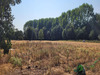 Ma-Cabane - Vente Maison LA CHARTRE SUR LE LOIR, 0 m²