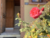 Ma-Cabane - Vente Maison La Croix-aux-Mines, 143 m²