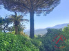 Ma-Cabane - Vente Maison La Croix-Valmer, 160 m²