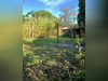 Ma-Cabane - Vente Maison LA FAUTE-SUR-MER, 74 m²