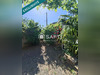 Ma-Cabane - Vente Maison La Jaudonniere, 155 m²