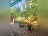 Ma-Cabane - Vente Maison La Jaudonniere, 155 m²
