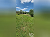 Ma-Cabane - Vente Maison La Neuveville-sous-Montfort, 142 m²