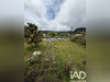Ma-Cabane - Vente Maison La Plaine-des-Palmistes, 250 m²