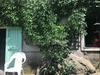 Ma-Cabane - Vente Maison LA PORTA, 164 m²