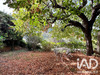 Ma-Cabane - Vente Maison La Roche-sur-le-Buis, 130 m²
