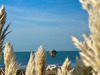 Ma-Cabane - Vente Maison LA ROCHELLE, 83 m²