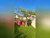 Ma-Cabane - Vente Maison La Seyne-sur-Mer, 95 m²