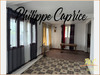 Ma-Cabane - Vente Maison LA TRINITE, 569 m²