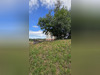 Ma-Cabane - Vente Maison Labaroche, 140 m²