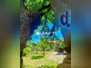 Ma-Cabane - Vente Maison Labastide-Marnhac, 110 m²