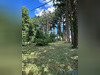 Ma-Cabane - Vente Maison Labastide-Rouairoux, 320 m²