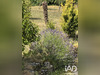 Ma-Cabane - Vente Maison Lacour, 115 m²