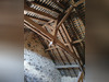Ma-Cabane - Vente Maison LADIGNAC LE LONG, 1800 m²