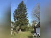 Ma-Cabane - Vente Maison Lailly-en-Val, 200 m²