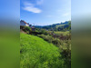 Ma-Cabane - Vente Maison LAMBACH, 130 m²