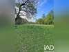 Ma-Cabane - Vente Maison Lamotte-Beuvron, 280 m²