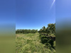 Ma-Cabane - Vente Maison Larnage, 132 m²