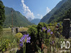 Ma-Cabane - Vente Maison Laruns, 122 m²