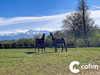Ma-Cabane - Vente Maison Laslades, 278 m²