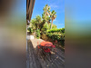 Ma-Cabane - Vente Maison Lattes, 75 m²