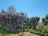 Ma-Cabane - Vente Maison Lavit, 360 m²