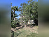 Ma-Cabane - Vente Maison Le Barcarès, 40 m²