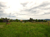 Ma-Cabane - Vente Maison LE BREUIL, 175 m²