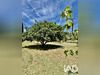 Ma-Cabane - Vente Maison Le Cannet-des-Maures, 209 m²