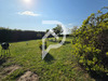 Ma-Cabane - Vente Maison LE CATEAU-CAMBRESIS, 80 m²