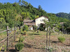 Ma-Cabane - Vente Maison LE COLLET-DE-DEZE, 97 m²