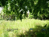 Ma-Cabane - Vente Maison LE DONJON, 36 m²