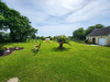 Ma-Cabane - Vente Maison LE DRENNEC, 138 m²