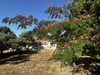 Ma-Cabane - Vente Maison Le Grand-Madieu, 150 m²