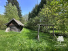 Ma-Cabane - Vente Maison Le Hohwald, 168 m²