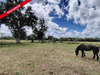 Ma-Cabane - Vente Maison LE HOMMET D ARTHENAY, 110 m²