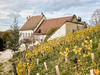 Ma-Cabane - Vente Maison LE LOUVEROT, 286 m²