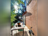 Ma-Cabane - Vente Maison Le Luc, 111 m²
