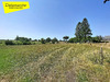 Ma-Cabane - Vente Maison LE LUOT, 130 m²